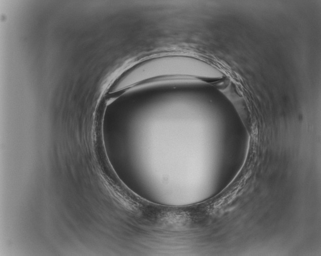 X0000087640248200705181532