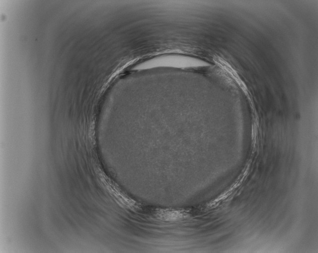 X0000087640249200705181532