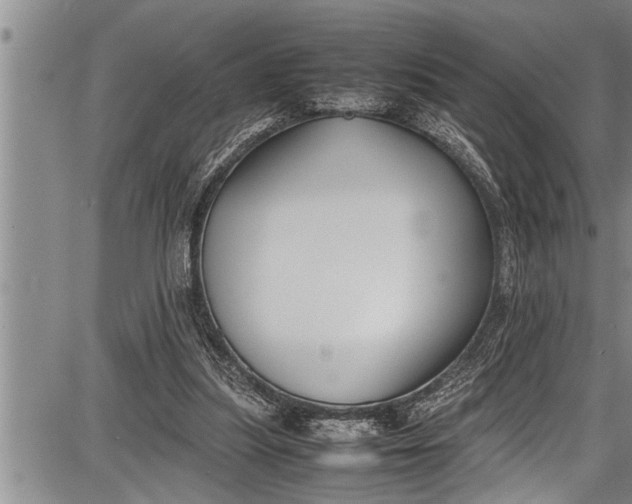 X0000087640251200705181532