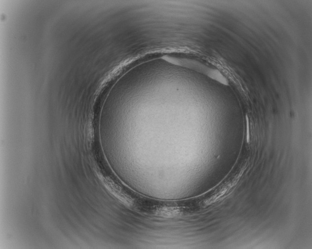 X0000087640252200705181532