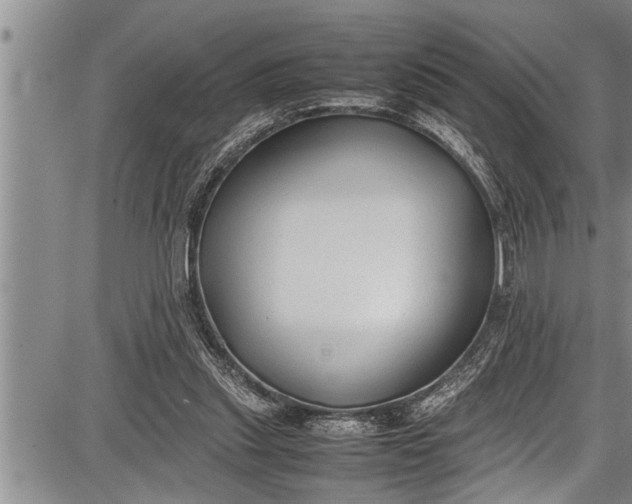 X0000087640253200705181532