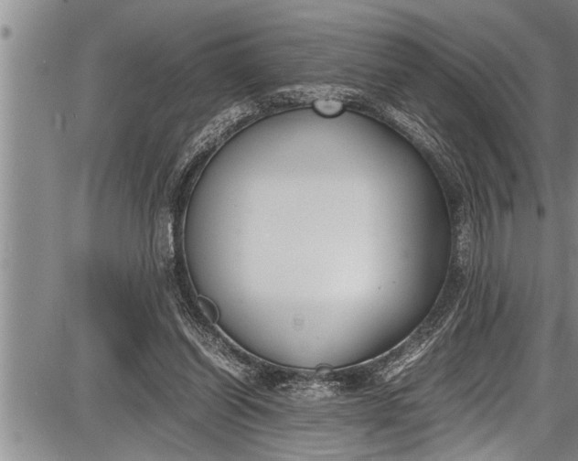 X0000087640254200705181532