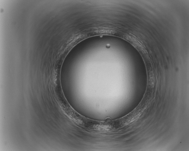 X0000087640255200705181532