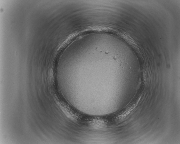 X0000087640256200705181533