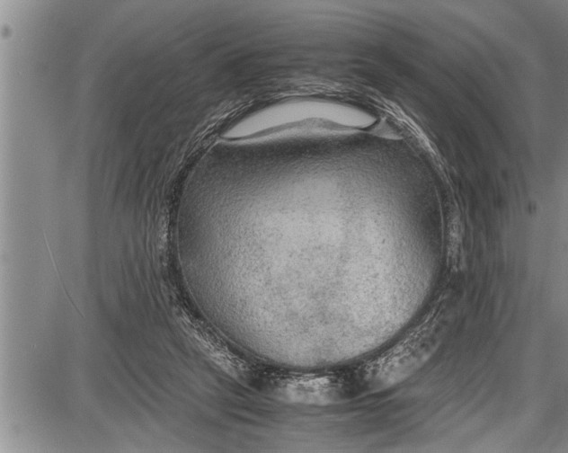 X0000087640257200705181533