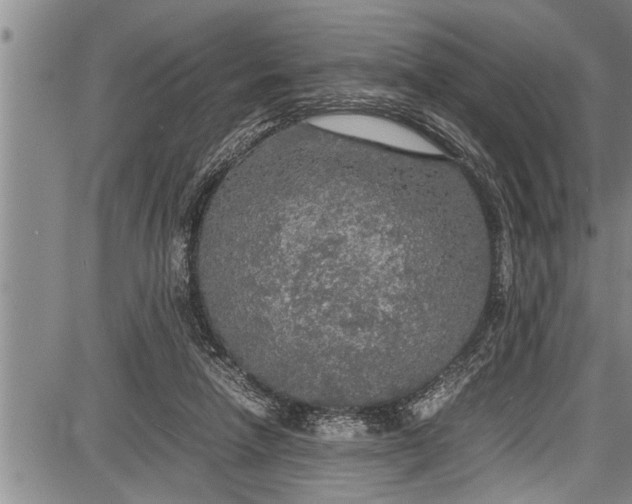 X0000087640258200705181533