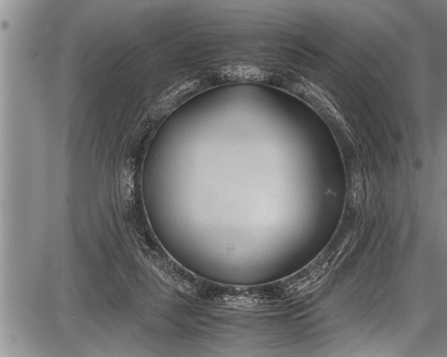 X0000087640259200705181533