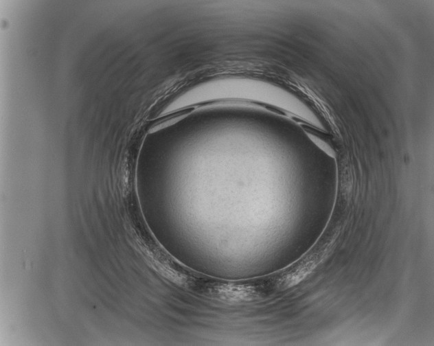 X0000087640261200705181533