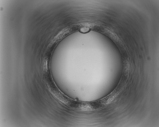 X0000087640262200705181533