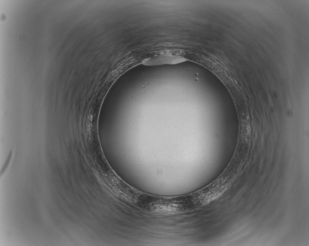 X0000087640263200705181533