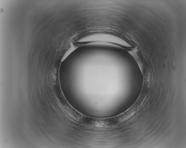 X0000087640264200705181533