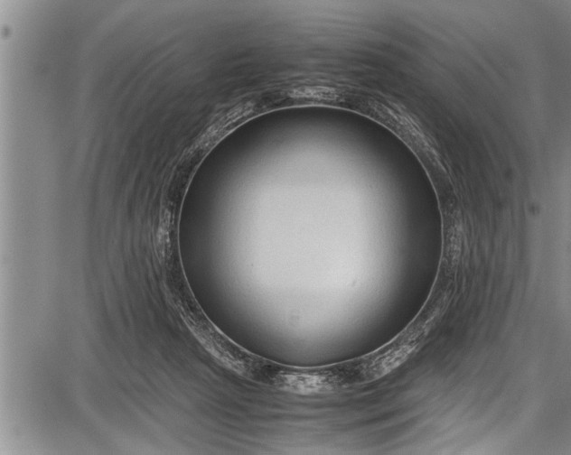 X0000087640265200705181533