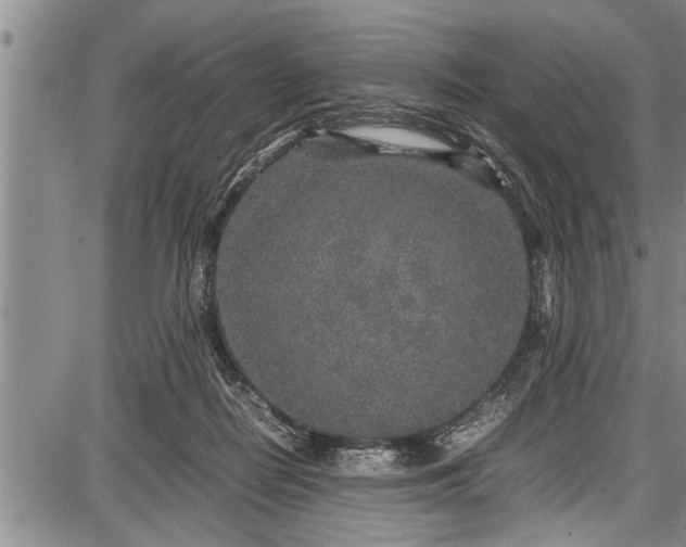 X0000087640266200705181533