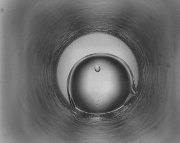 X0000087640268200705181533