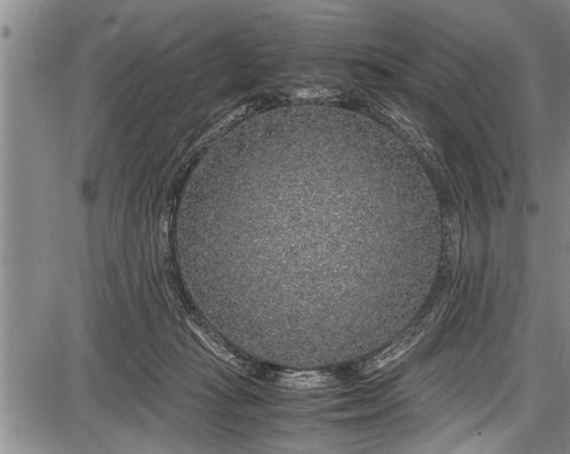 X0000087640269200705181533