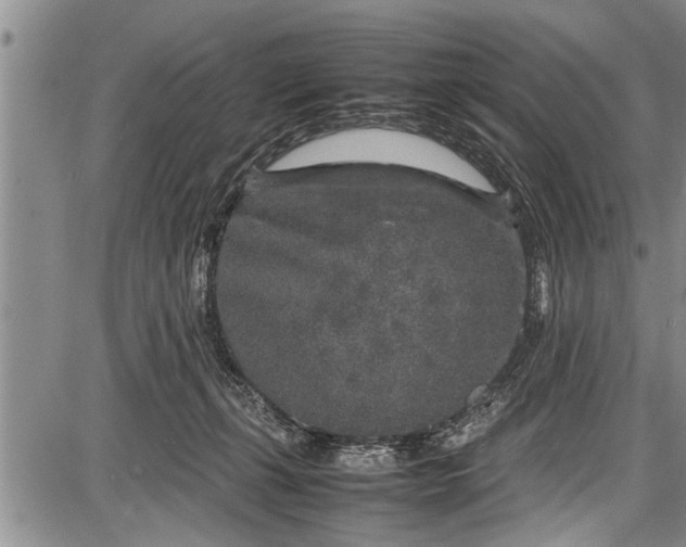 X0000087640271200705181533