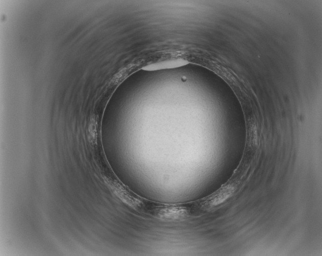 X0000087640274200705181533