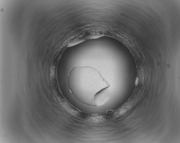 X0000087640278200705181533