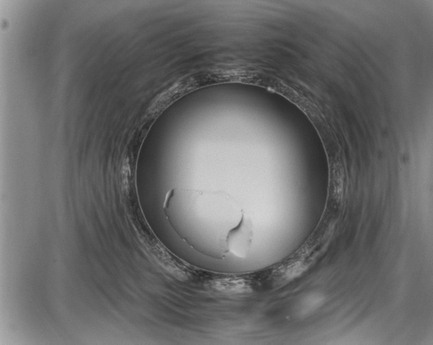 X0000087640279200705181533