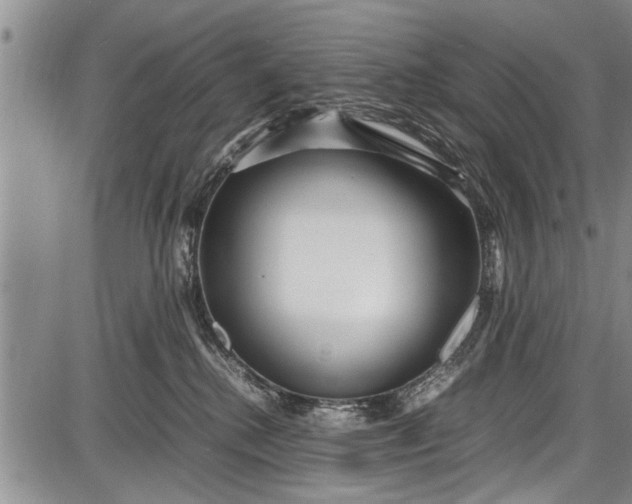 X0000087640280200705181533