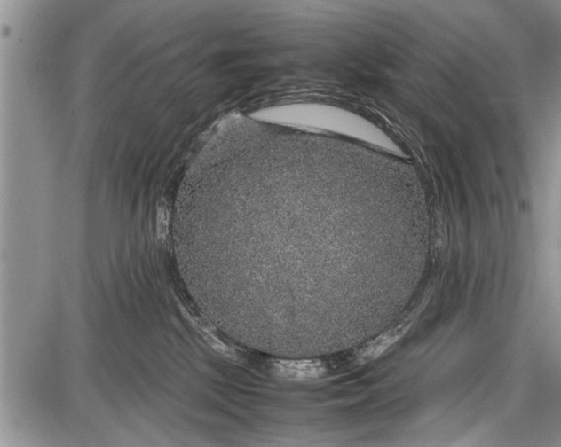 X0000087640281200705181533