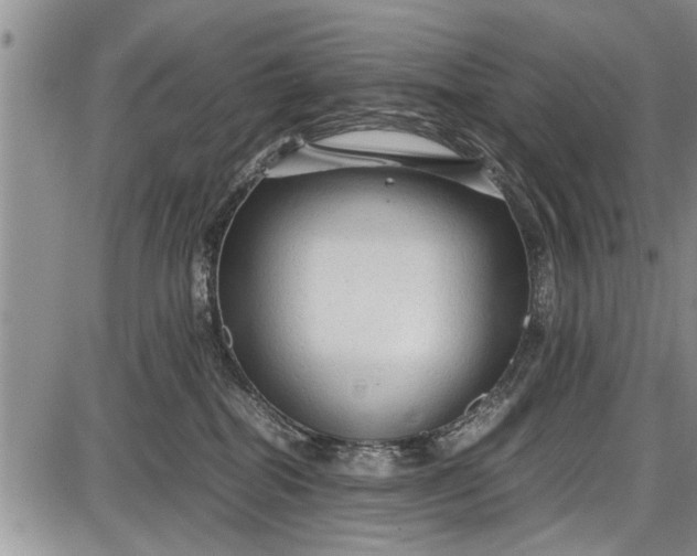 X0000087640282200705181533