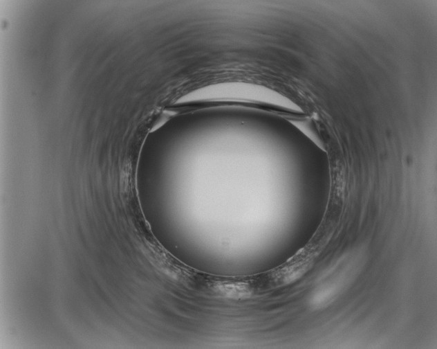 X0000087640283200705181533