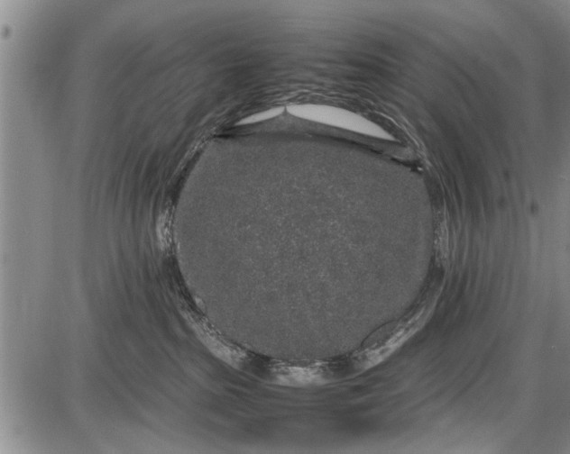 X0000087640285200705181533