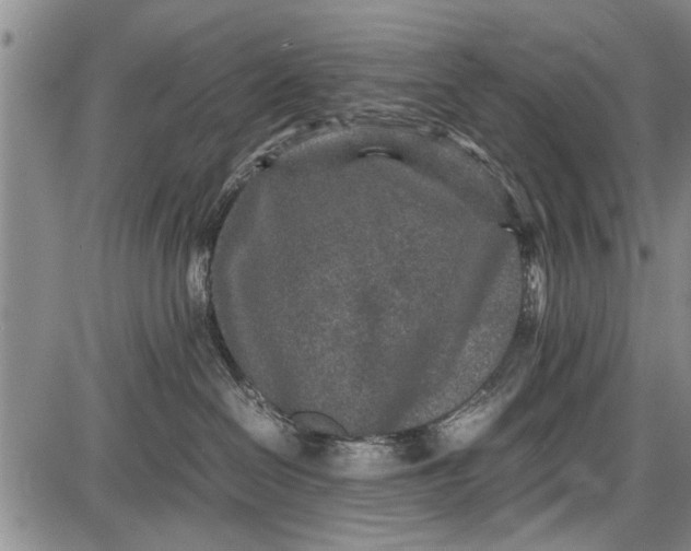 X0000087640286200705181533