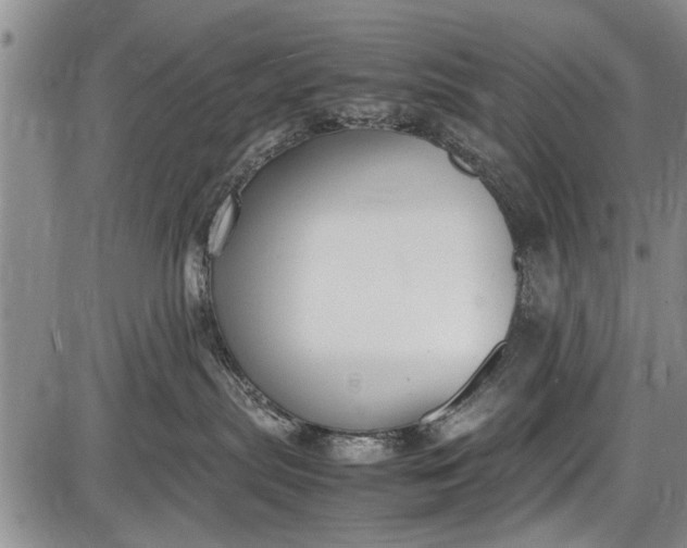 X0000087640287200705181533