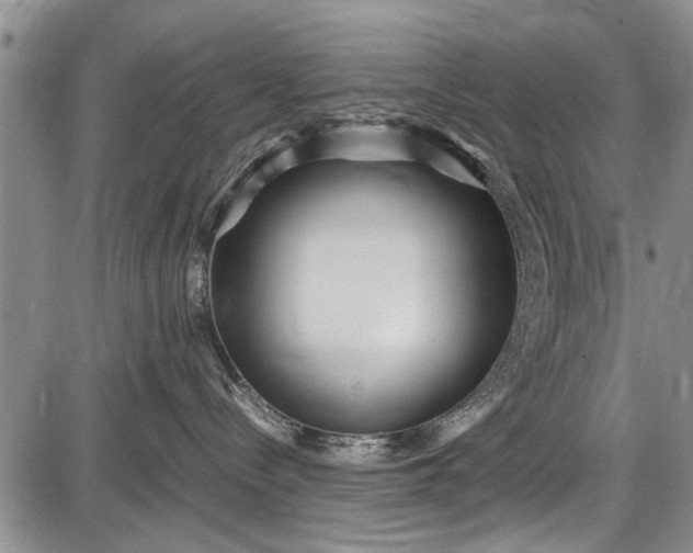 X0000087640288200705181533