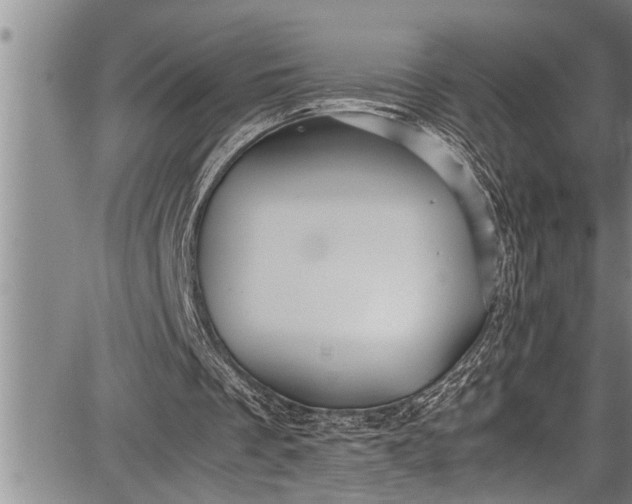 X0000087640289200705181532