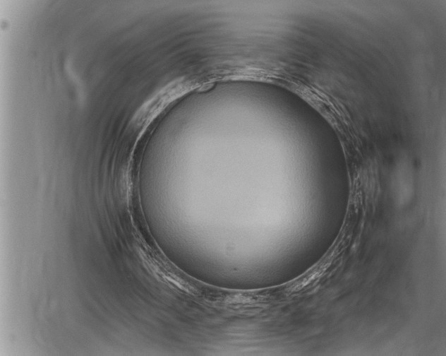 X0000087640290200705181532