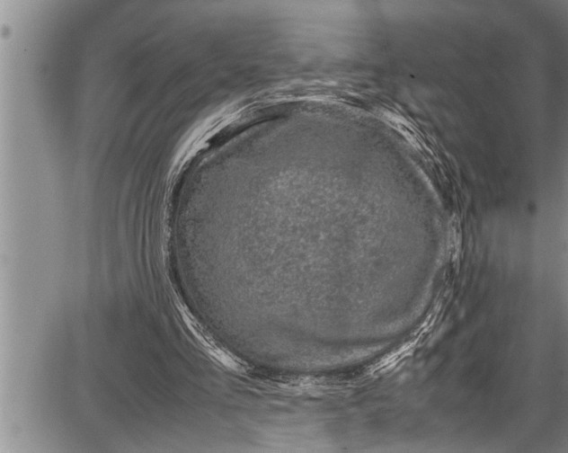 X0000087640293200705181532