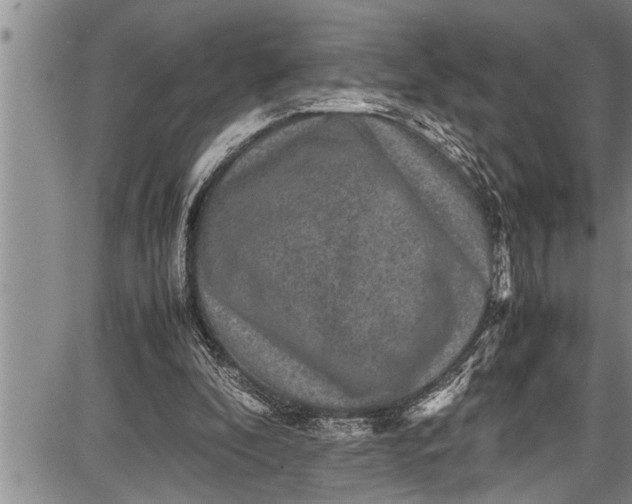 X0000087640296200705181532