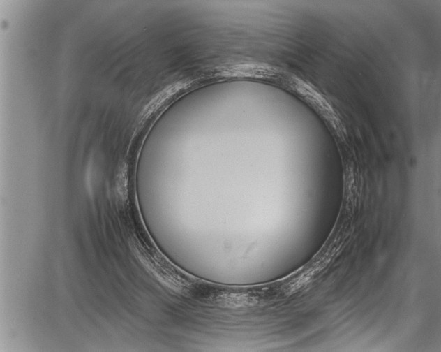 X0000087640298200705181532