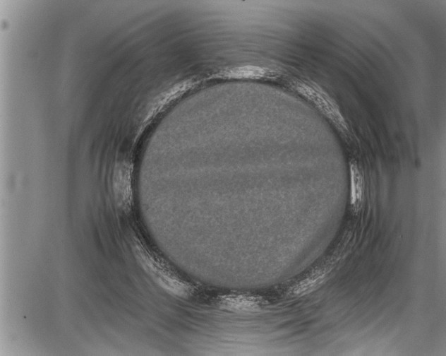 X0000087640300200705181532