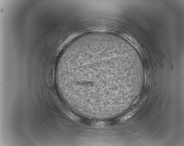 X0000087640301200705181532