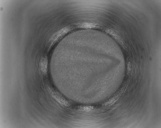 X0000087640304200705181532