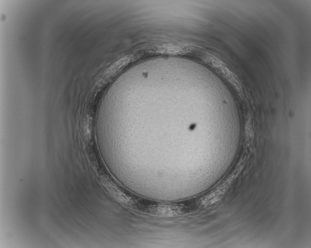 X0000087640305200705181532