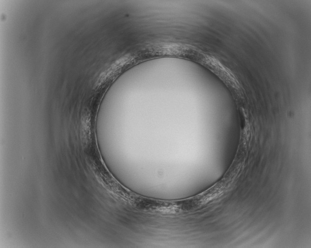 X0000087640306200705181532