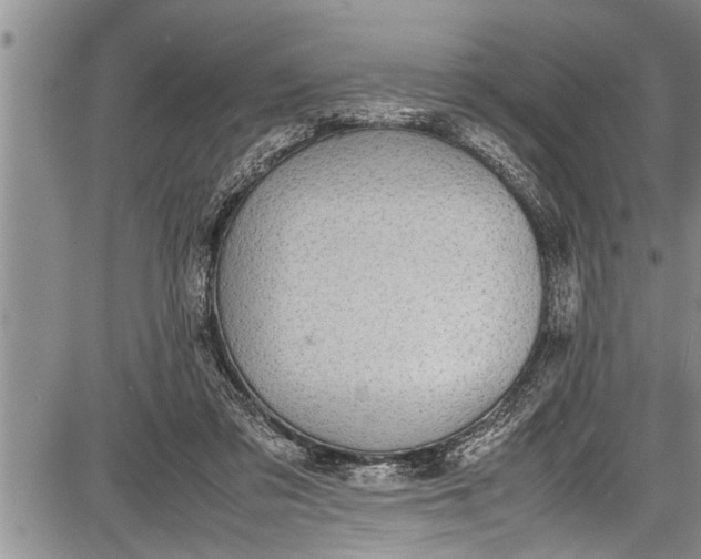 X0000087640309200705181532