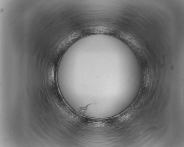 X0000087640310200705181532