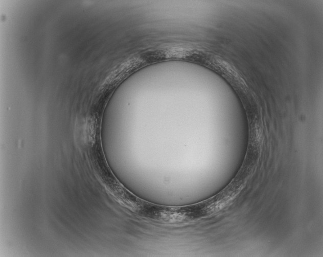 X0000087640311200705181532