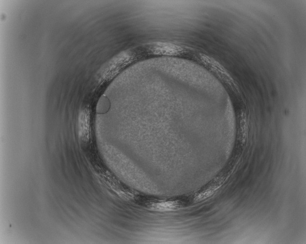 X0000087640312200705181532