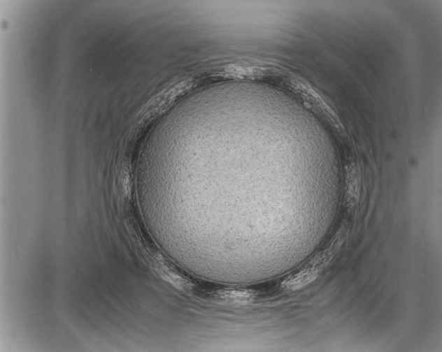 X0000087640313200705181532