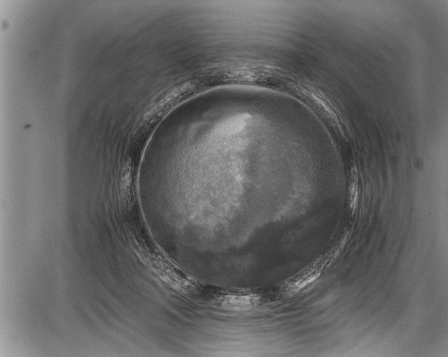 X0000087640314200705181532