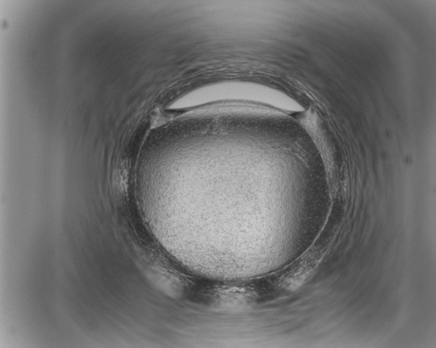 X0000087640315200705181532