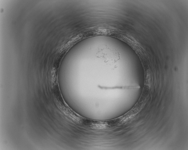 X0000087640318200705181532