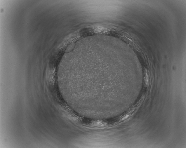 X0000087640319200705181532